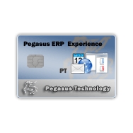 Pegasus ERP Experience