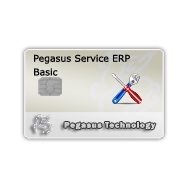Pegasus Service ERP Basic