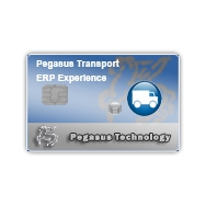 Pegasus Transport ERP Experience