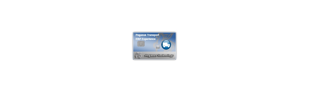 Pegasus Transport ERP Experience